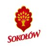 logo_sokolow_w_pionie